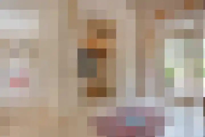 Rijksweg 254 Hoogersmilde thumbnail 34
