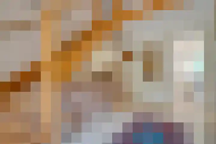 Rijksweg 254 Hoogersmilde thumbnail 35
