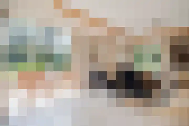 Rijksweg 254 Hoogersmilde thumbnail 39