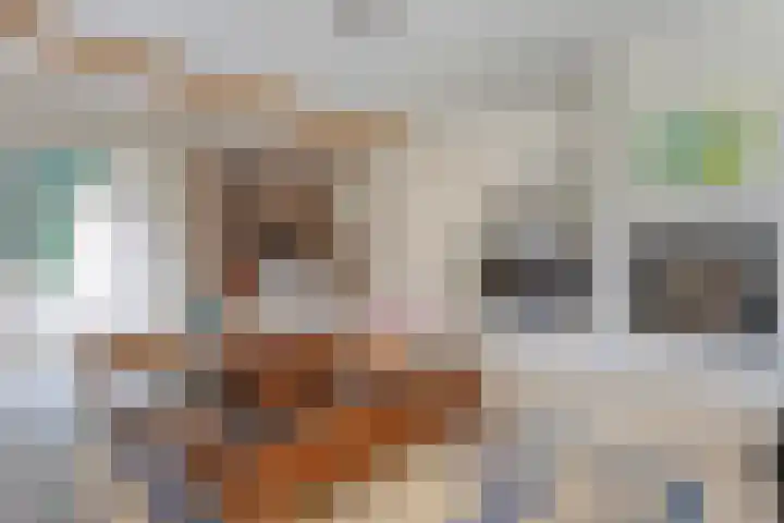 Rijksweg 254 Hoogersmilde thumbnail 43
