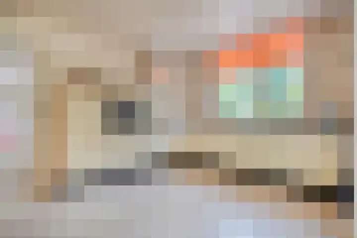 Rijksweg 254 Hoogersmilde thumbnail 46