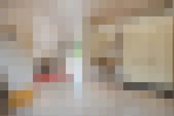 Rijksweg 254 Hoogersmilde thumbnail 47