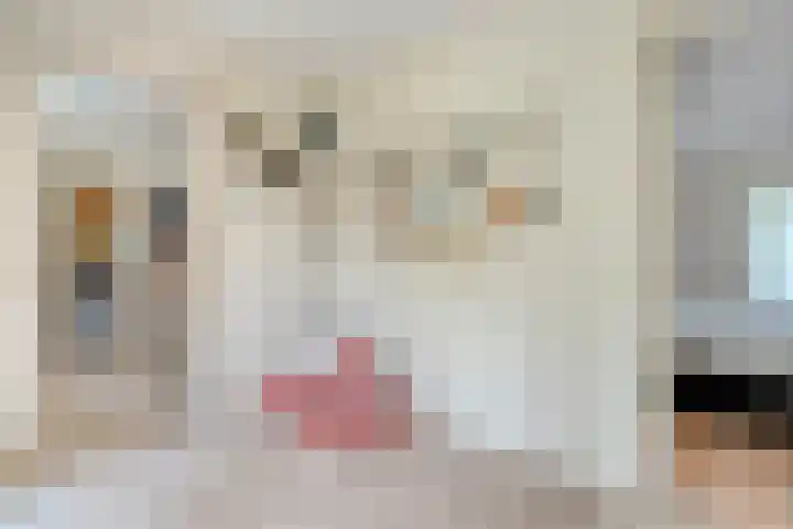 Rijksweg 254 Hoogersmilde thumbnail 48