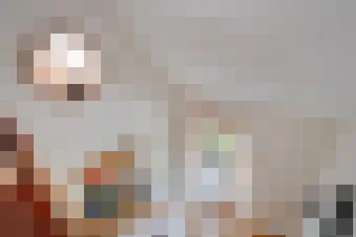 Rijksweg 254 Hoogersmilde thumbnail 49