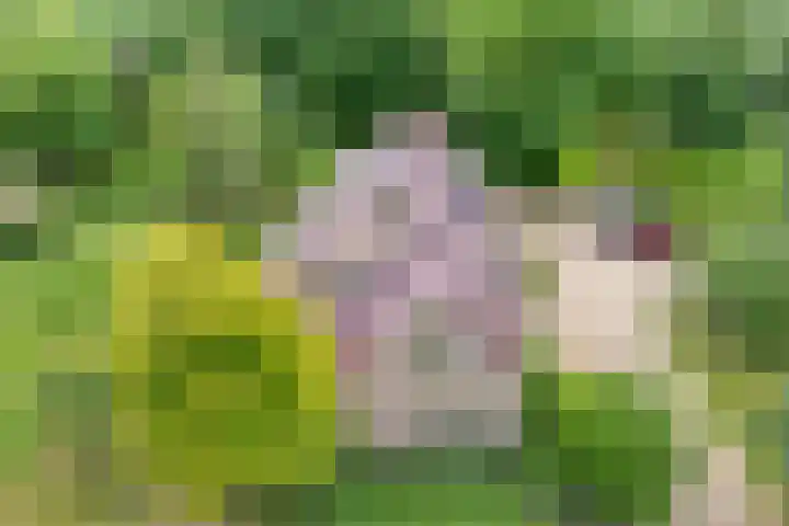 Rijksweg 254 Hoogersmilde thumbnail 5