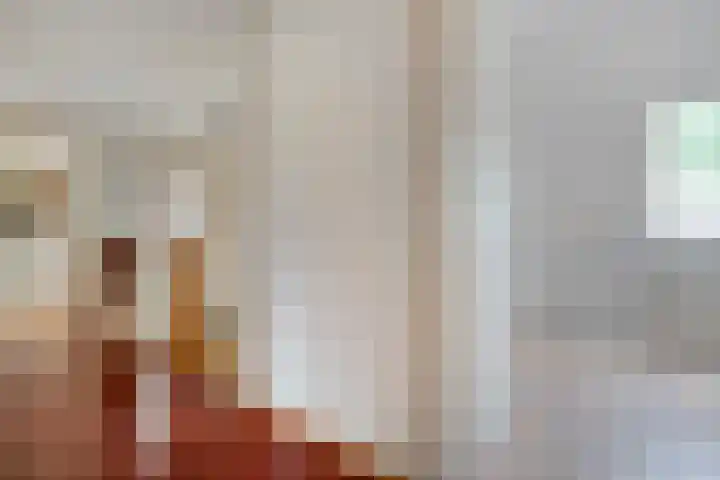 Rijksweg 254 Hoogersmilde thumbnail 50