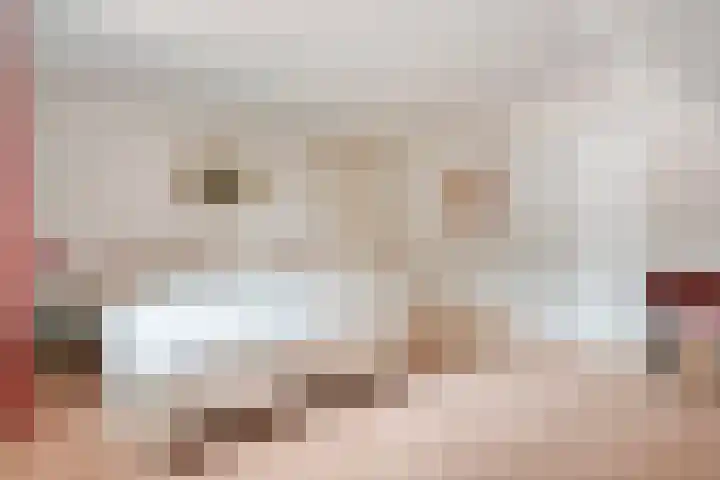 Rijksweg 254 Hoogersmilde thumbnail 55