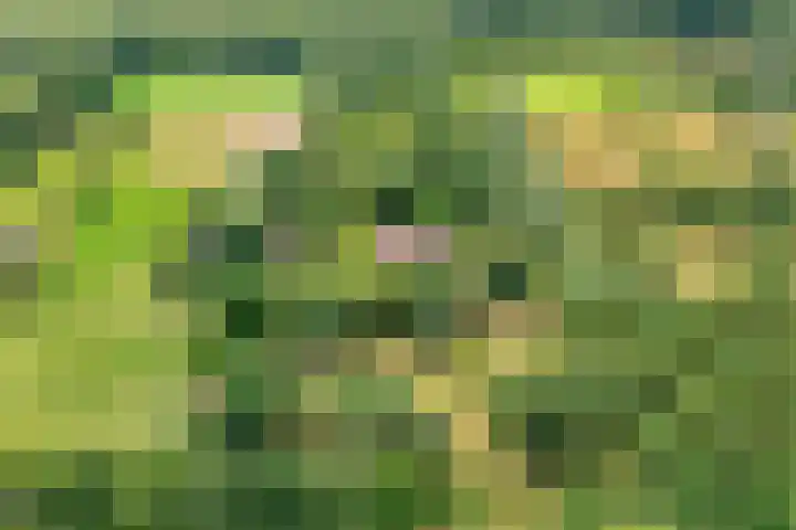 Rijksweg 254 Hoogersmilde thumbnail 6