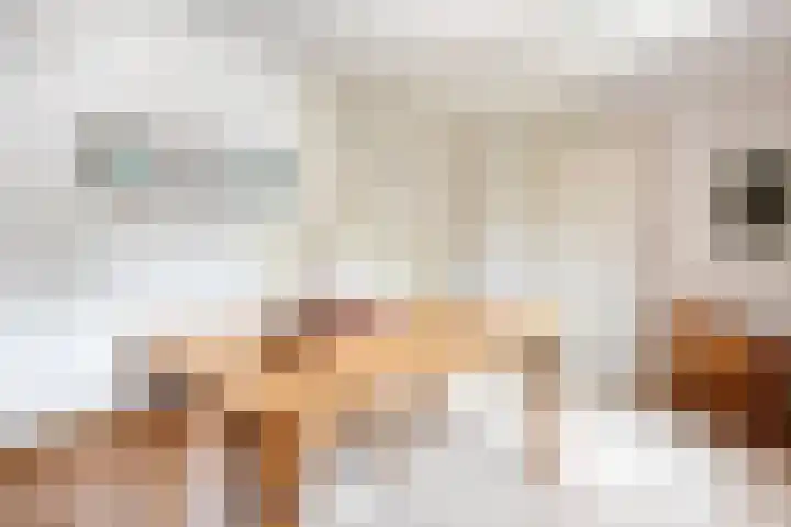 Rijksweg 254 Hoogersmilde thumbnail 62