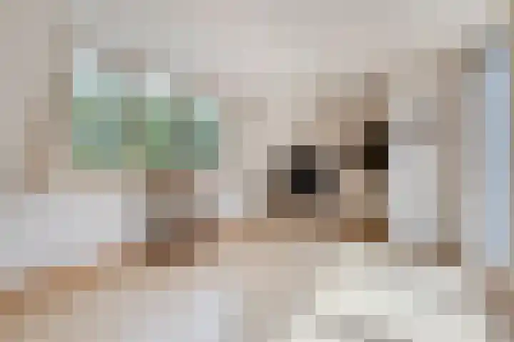 Rijksweg 254 Hoogersmilde thumbnail 63