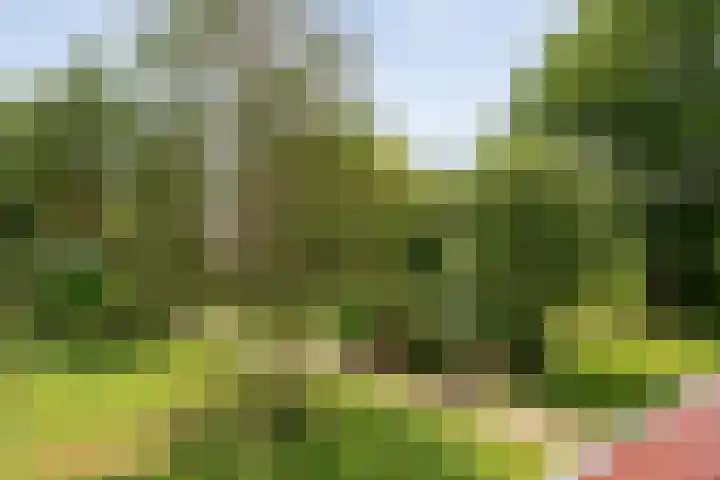Rijksweg 254 Hoogersmilde thumbnail 69