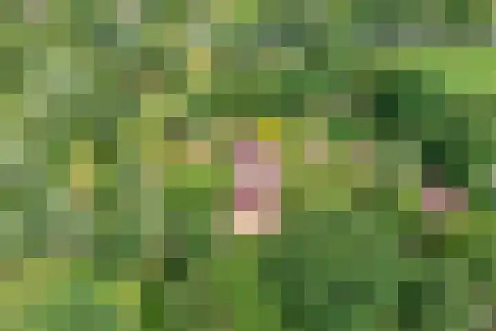 Rijksweg 254 Hoogersmilde thumbnail 7
