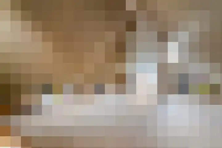 Rijksweg 254 Hoogersmilde thumbnail 70