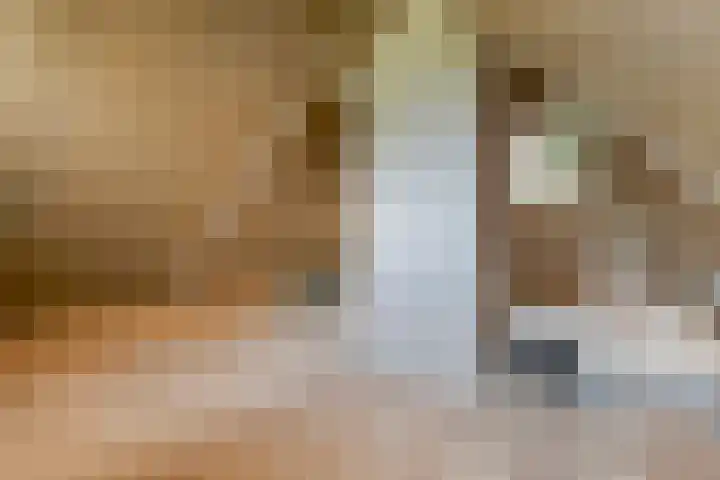 Rijksweg 254 Hoogersmilde thumbnail 71