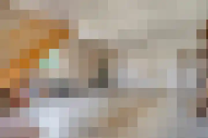 Rijksweg 254 Hoogersmilde thumbnail 74