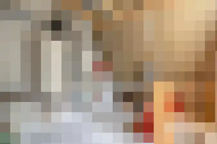 Rijksweg 254 Hoogersmilde thumbnail 76