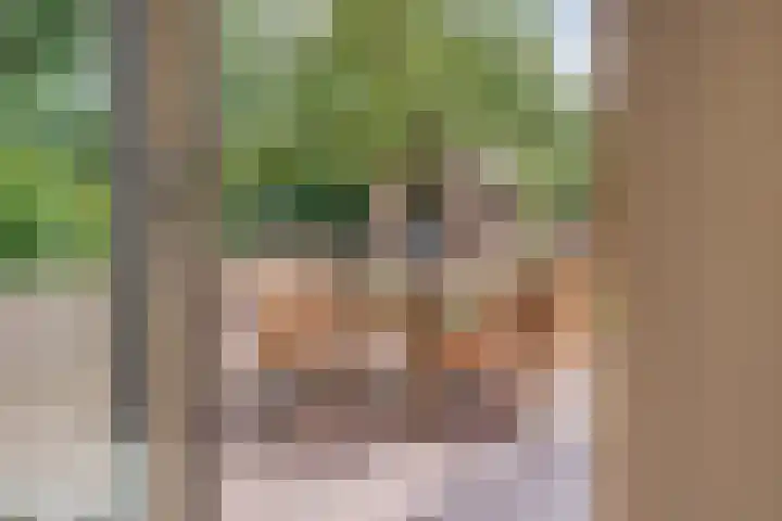 Rijksweg 254 Hoogersmilde thumbnail 79