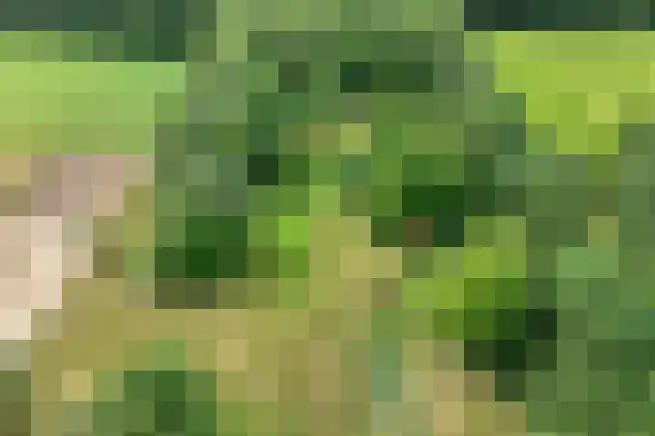 Rijksweg 254 Hoogersmilde thumbnail 8
