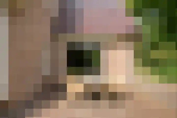 Rijksweg 254 Hoogersmilde thumbnail 80