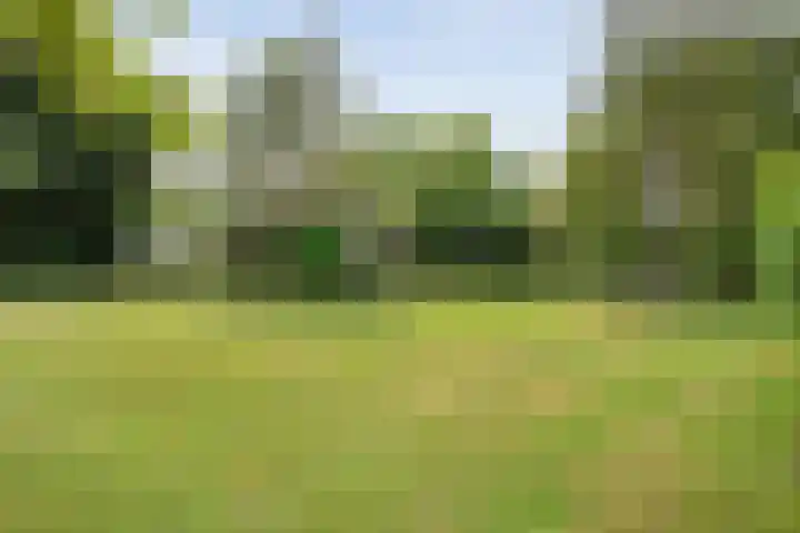Rijksweg 254 Hoogersmilde thumbnail 81
