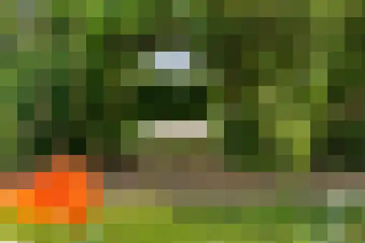 Rijksweg 254 Hoogersmilde thumbnail 82
