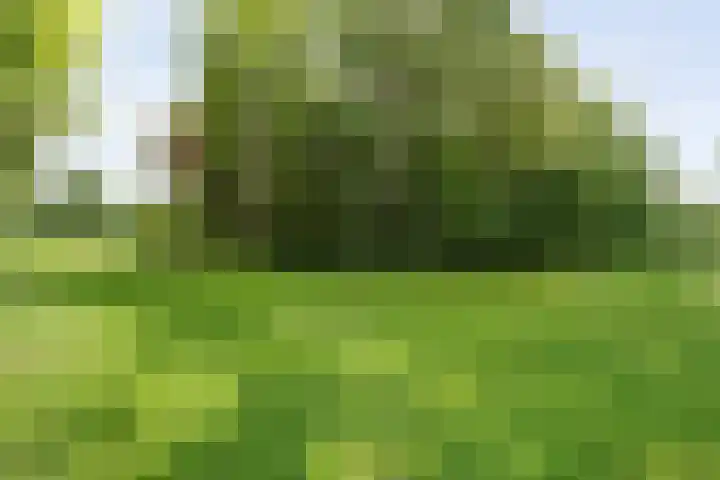 Rijksweg 254 Hoogersmilde thumbnail 83
