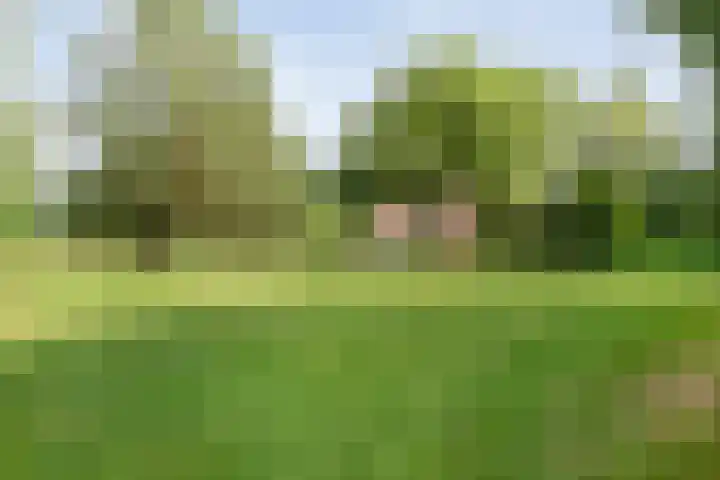 Rijksweg 254 Hoogersmilde thumbnail 84