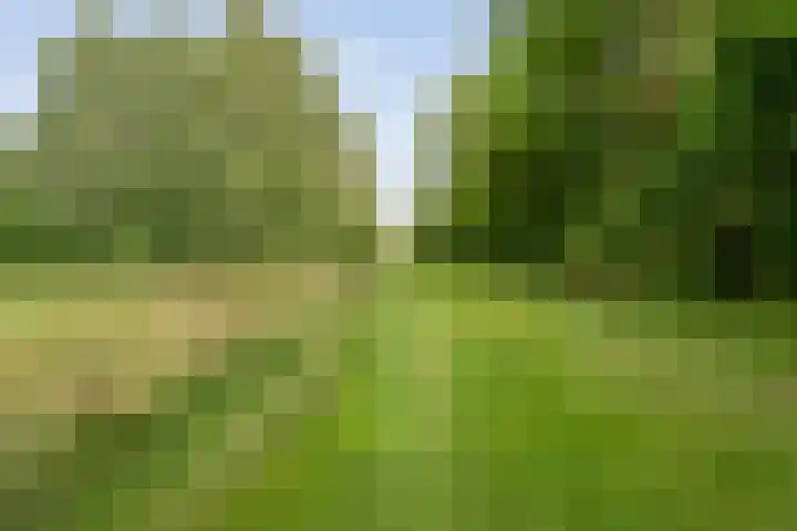 Rijksweg 254 Hoogersmilde thumbnail 85