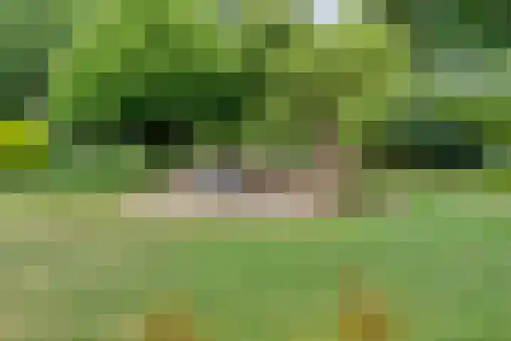 Rijksweg 254 Hoogersmilde thumbnail 86