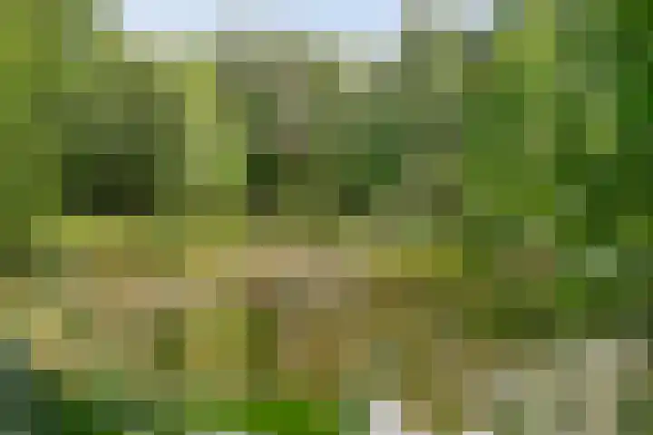 Rijksweg 254 Hoogersmilde thumbnail 87
