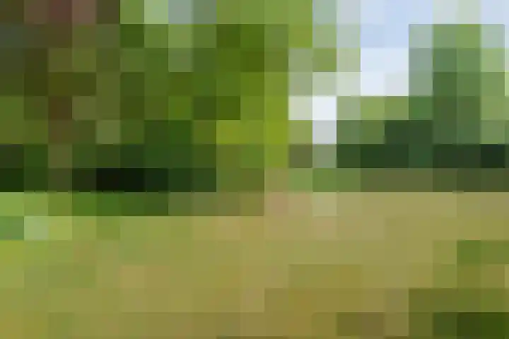 Rijksweg 254 Hoogersmilde thumbnail 88