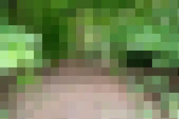 Rijksweg 254 Hoogersmilde thumbnail 89