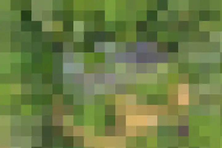 Rijksweg 254 Hoogersmilde thumbnail 9