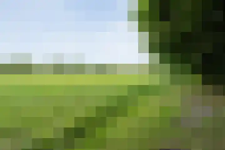 Rijksweg 254 Hoogersmilde thumbnail 90