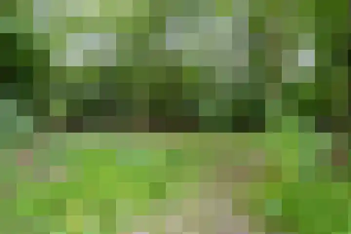 Rijksweg 254 Hoogersmilde thumbnail 91