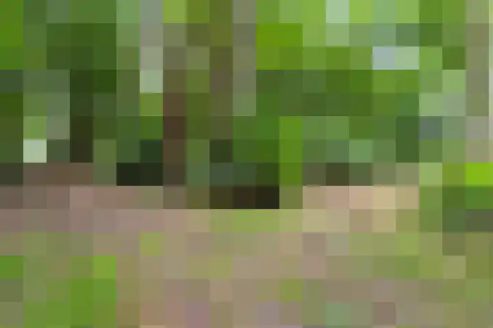 Rijksweg 254 Hoogersmilde thumbnail 92