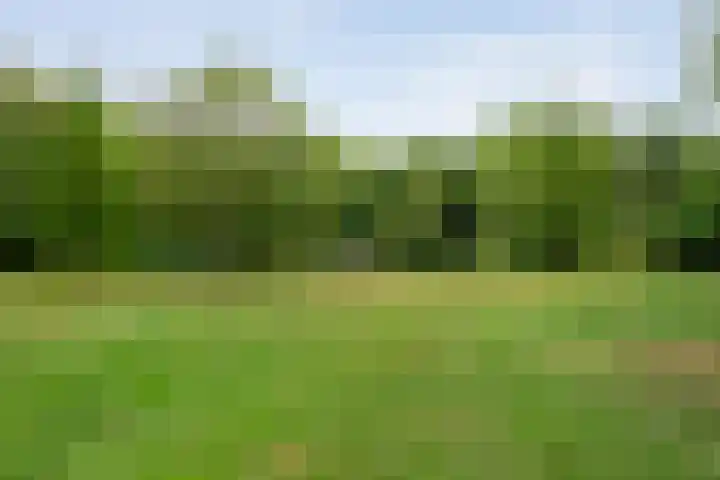 Rijksweg 254 Hoogersmilde thumbnail 93