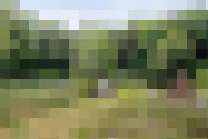 Rijksweg 254 Hoogersmilde thumbnail 94