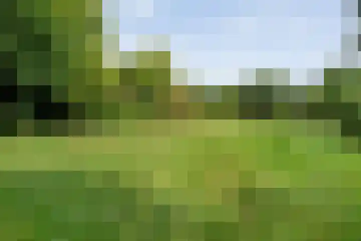 Rijksweg 254 Hoogersmilde thumbnail 95