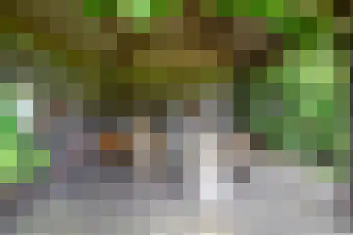Rijksweg 254 Hoogersmilde thumbnail 96