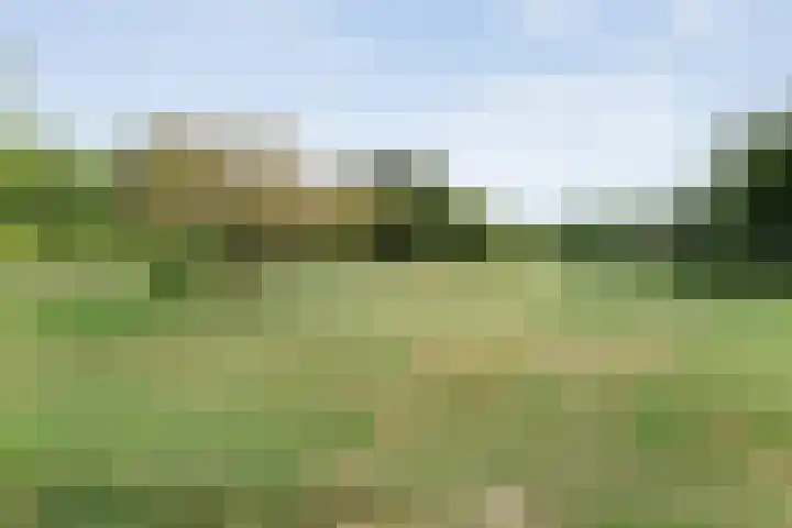 Rijksweg 254 Hoogersmilde thumbnail 97