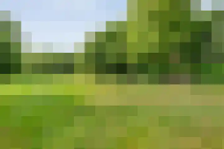 Rijksweg 254 Hoogersmilde thumbnail 98