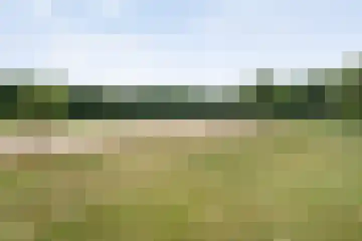 Rijksweg 254 Hoogersmilde thumbnail 99