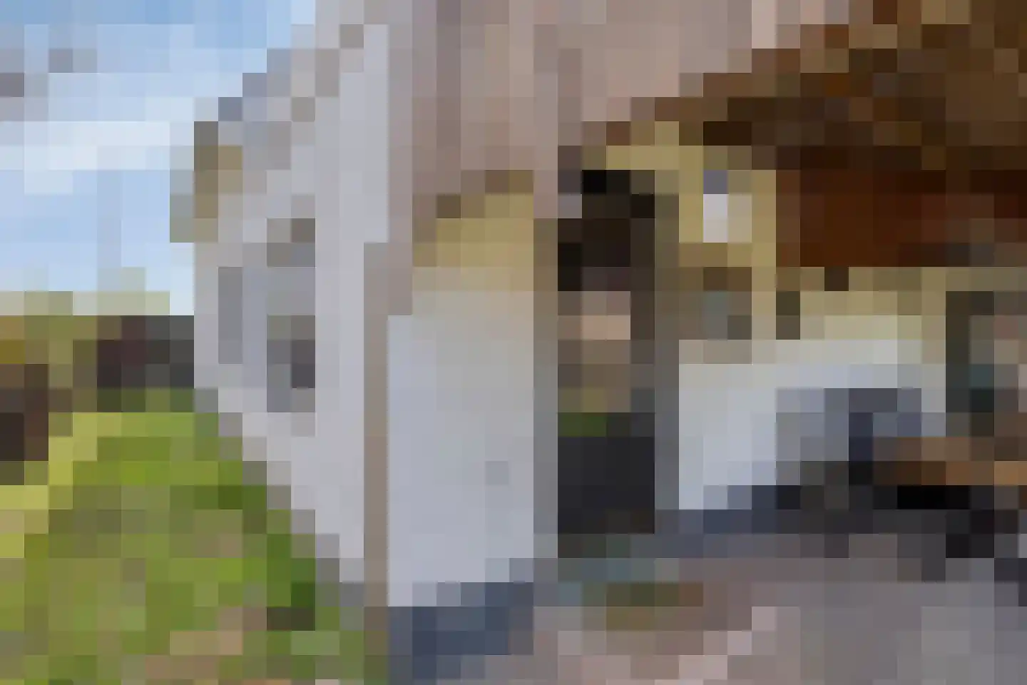 Rijksweg 26 Herten thumbnail 26