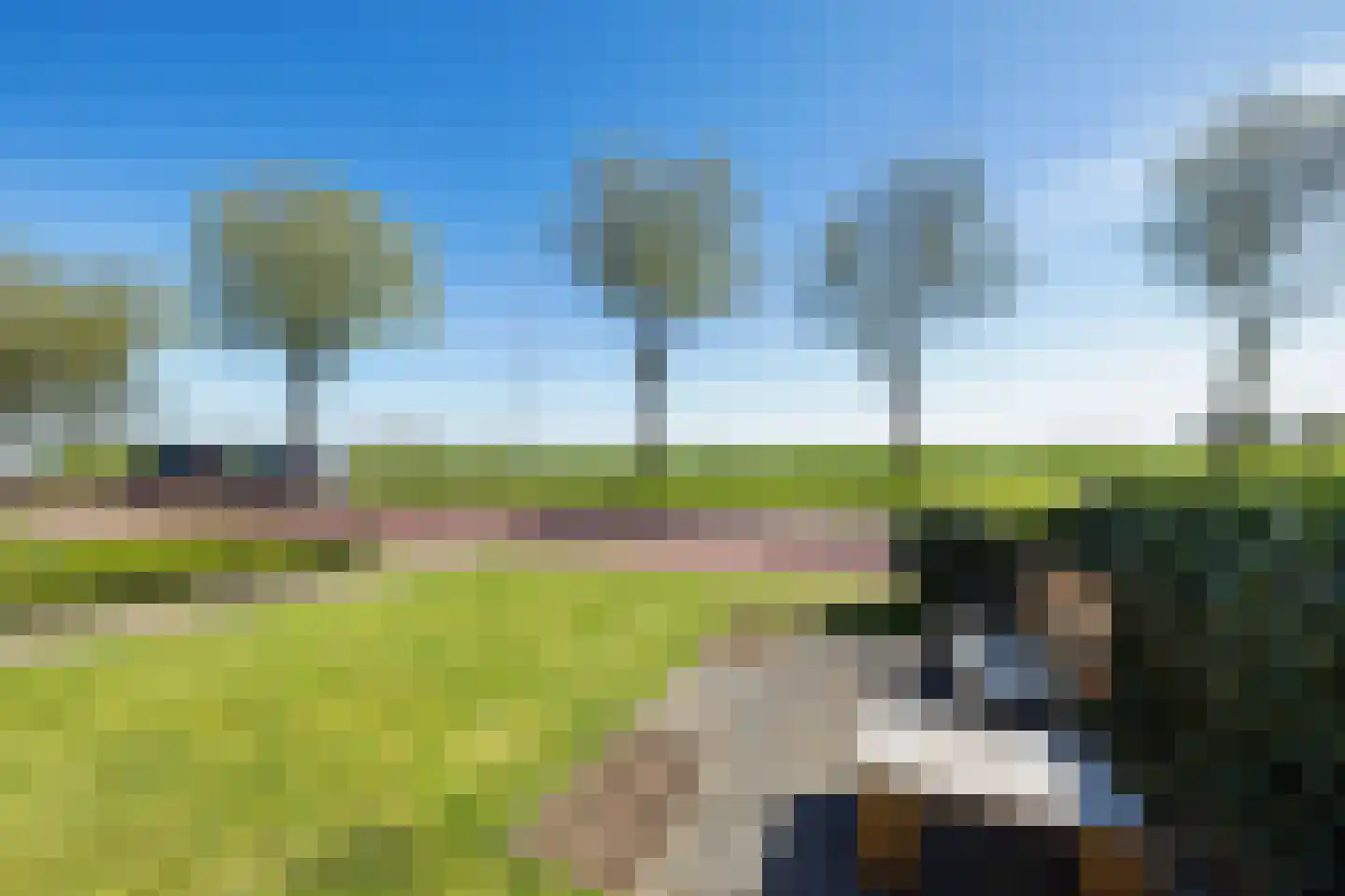 Rijksweg 26 Jirnsum thumbnail 10