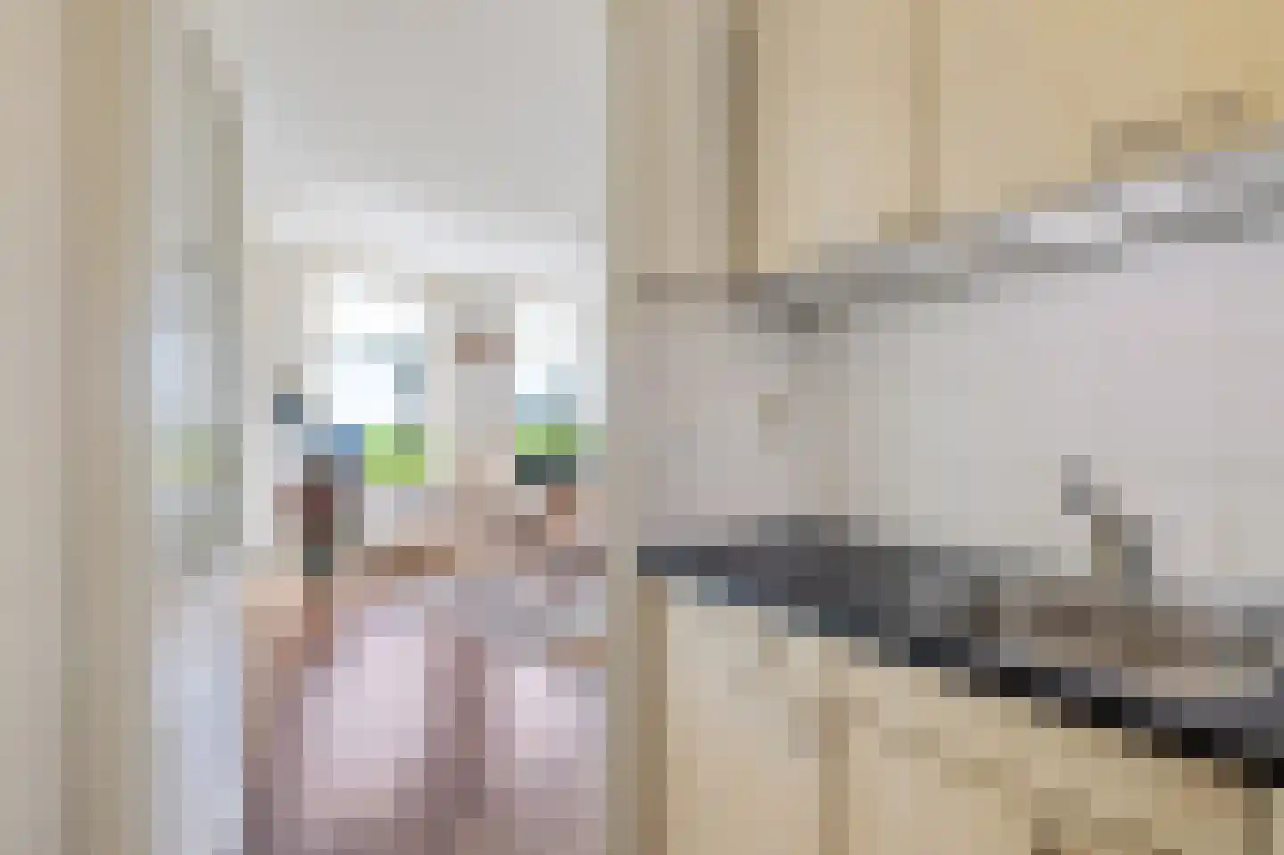 Rijksweg 26 Jirnsum thumbnail 21