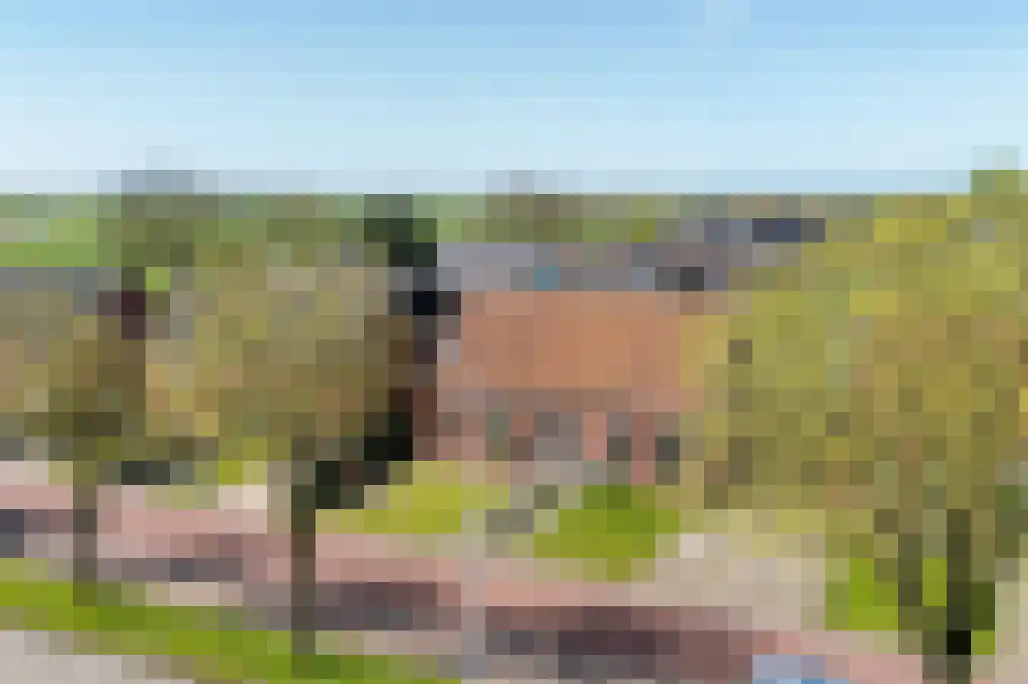 Rijksweg 26 Jirnsum thumbnail 5