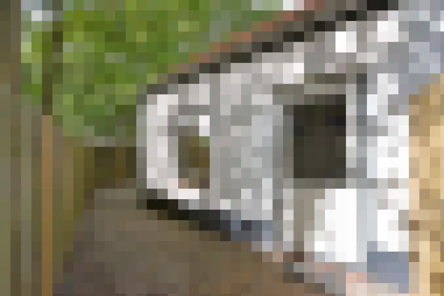 Rijksweg 260 K 01 Heumen thumbnail 4