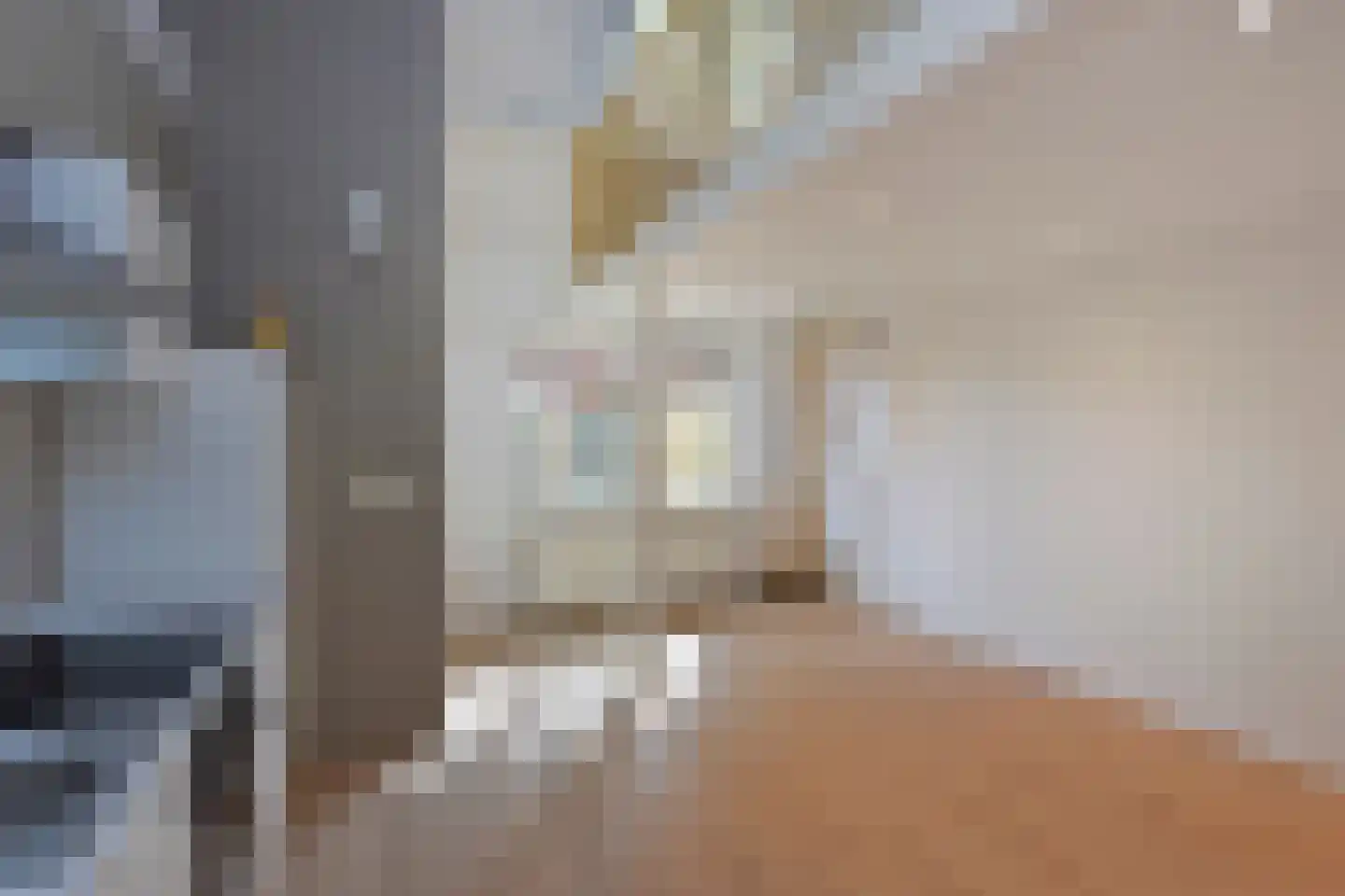 Rijksweg 260 K 02 Heumen thumbnail 8