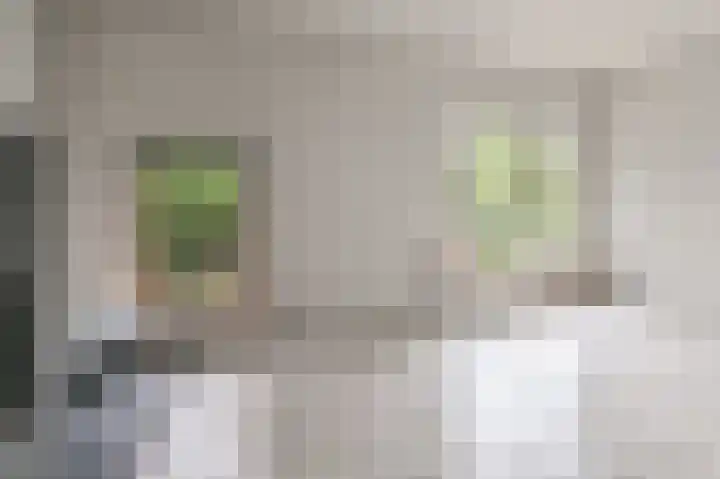 Rijksweg 278 Santpoort-Noord thumbnail 10